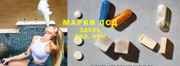 тгк Алзамай