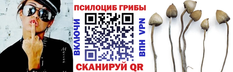 Галлюциногенные грибы GOLDEN TEACHER  купить закладку  нарко площадка официальный сайт  Пикалёво 